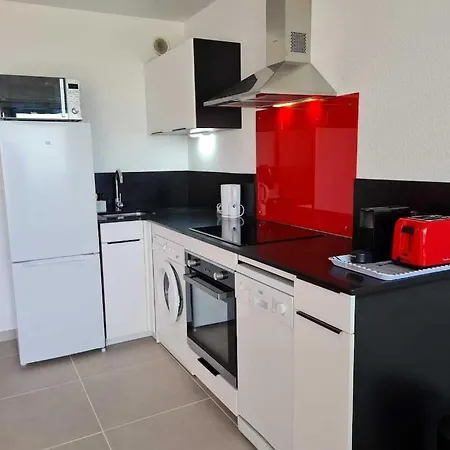 Magnifique Appart. 3*** Face Mer, Parking , Wi-fi Canet-en-Roussillon
